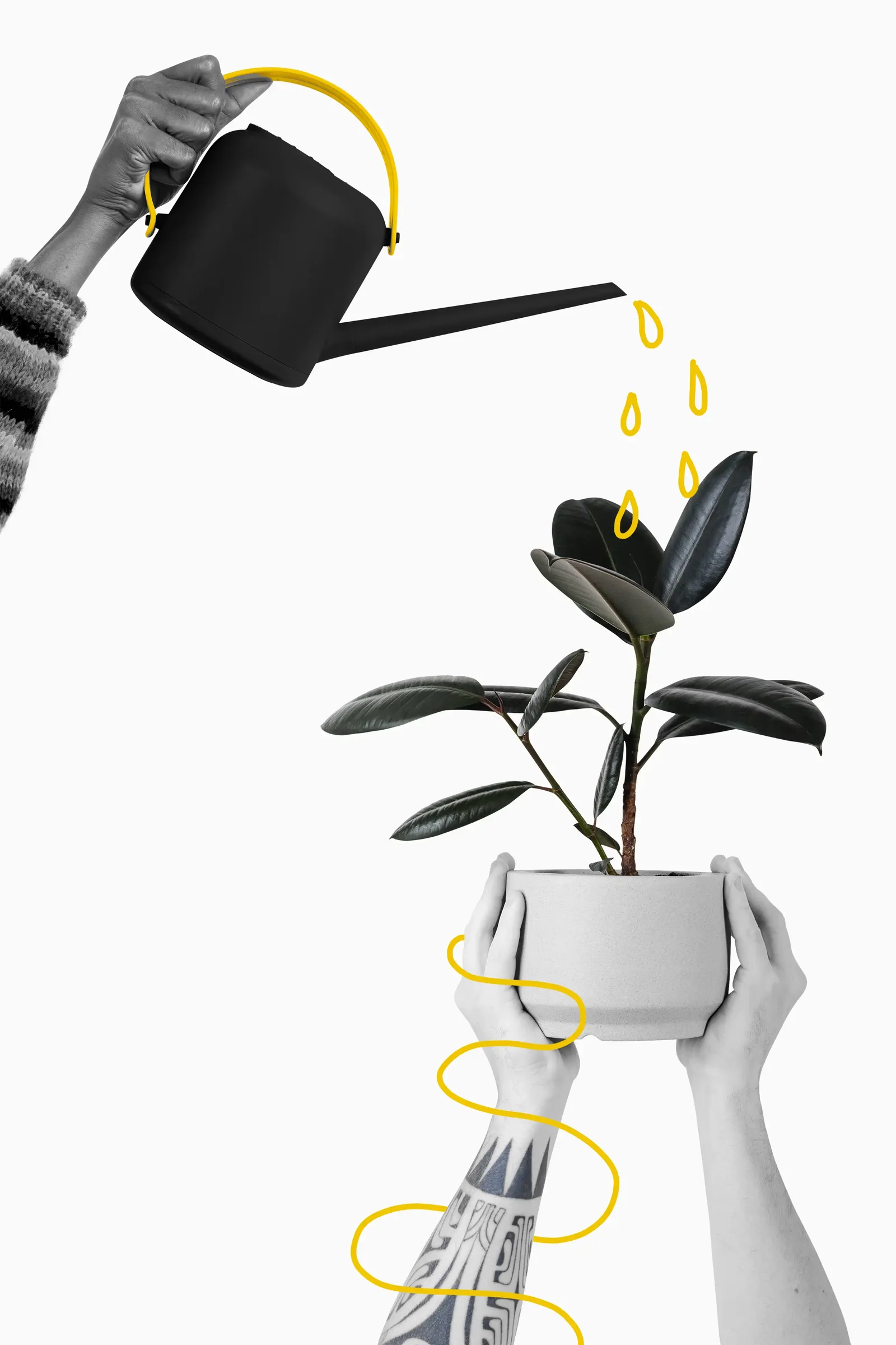 A visual metaphor for nurturing personal growth
